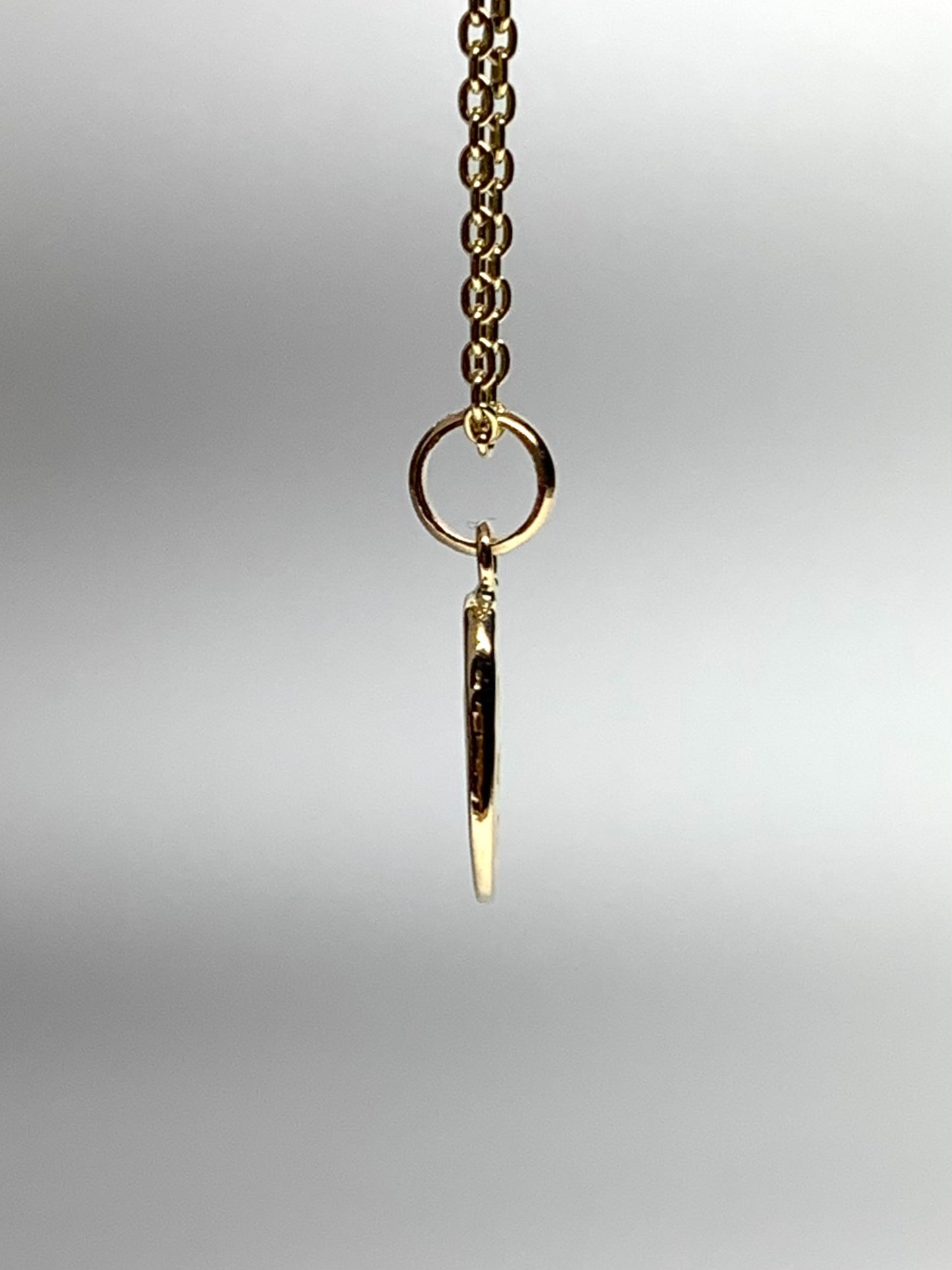 14k Solid Yellow Gold Nugget “Olive Branch”, Mini Pendant, Tiny Charm